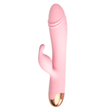 Missing in Action – Rosa