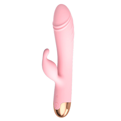 Missing in Action – Rosa