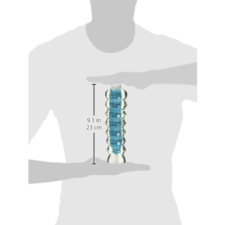 Masturbador Shanes World Campus Hottie