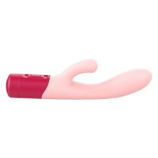 Sunlei Vibrator